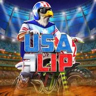 USA Flip thumbnail
